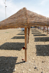 Similar image 1564502