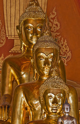 Similar image 1564536