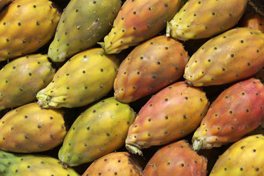 Similar image 1564586