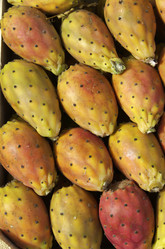 Similar image 1564596