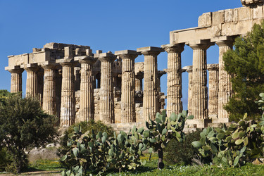 Similar image 1564602