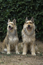 Similar image 1564606