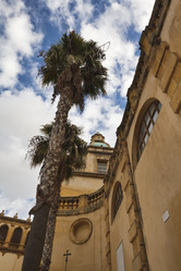 Similar image 1564612