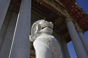 Similar image 1564613