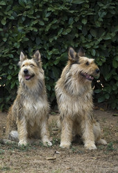 Similar image 1564614