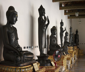 Similar image 1564638