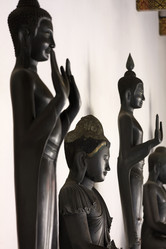 Similar image 1564645