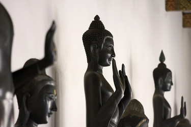 Similar image 1564649