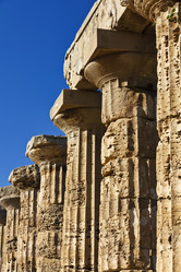 Similar image 1564659