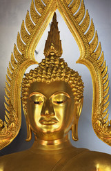 Similar image 1564686