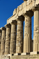 Similar image 1564687