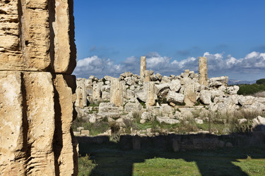 Similar image 1564702