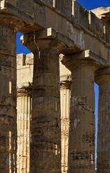 Similar image 1564709