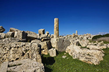 Similar image 1564721