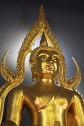 Similar image 1564726