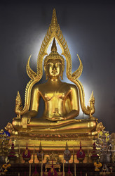 Similar image 1564729