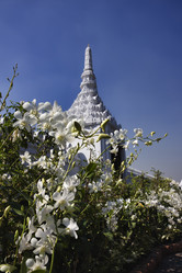 Similar image 1564739