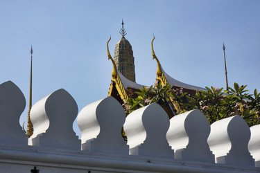 Similar image 1564741