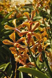 Similar image 1564743