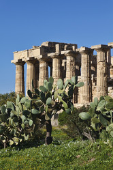 Similar image 1564756