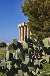 Similar image 1564759