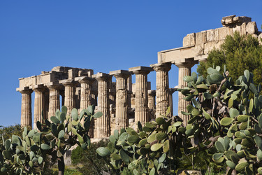 Similar image 1564767