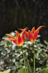 Similar image 1564769