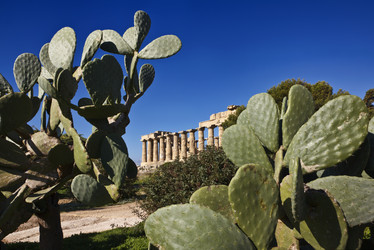 Similar image 1564772