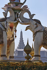 Similar image 1564779