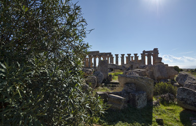 Similar image 1564784