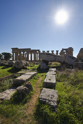 Similar image 1564792