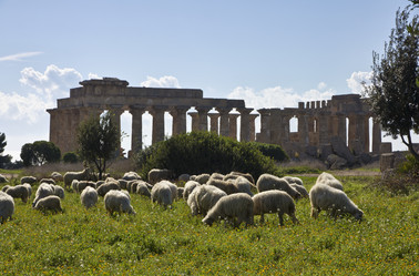 Similar image 1564797