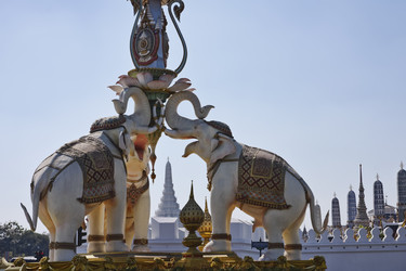 Similar image 1564802