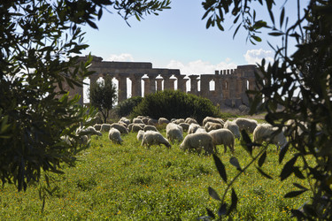 Similar image 1564804