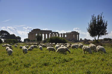 Similar image 1564806