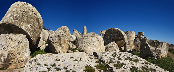 Similar image 1564826