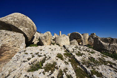 Similar image 1564833