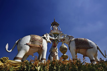 Similar image 1564834