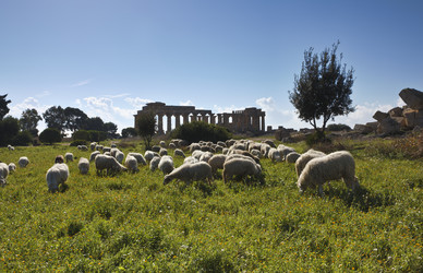 Similar image 1564838