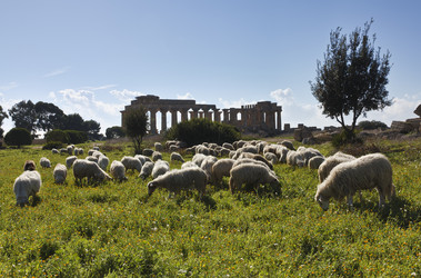 Similar image 1564839