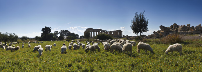 Similar image 1564843