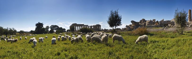 Similar image 1564844