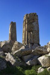 Similar image 1564860