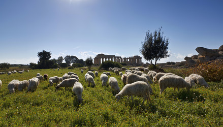 Similar image 1564865