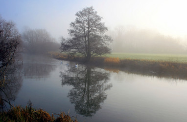 Similar image 1564887