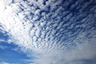 Similar image 1564904