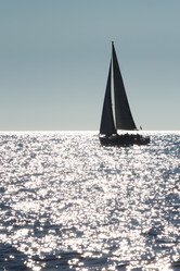 Similar image 1564906