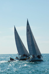 Similar image 1564907