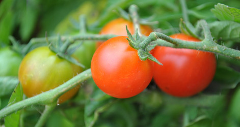 Similar image 1564932