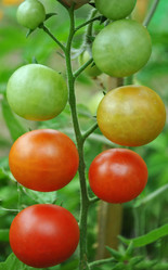 Similar image 1564933